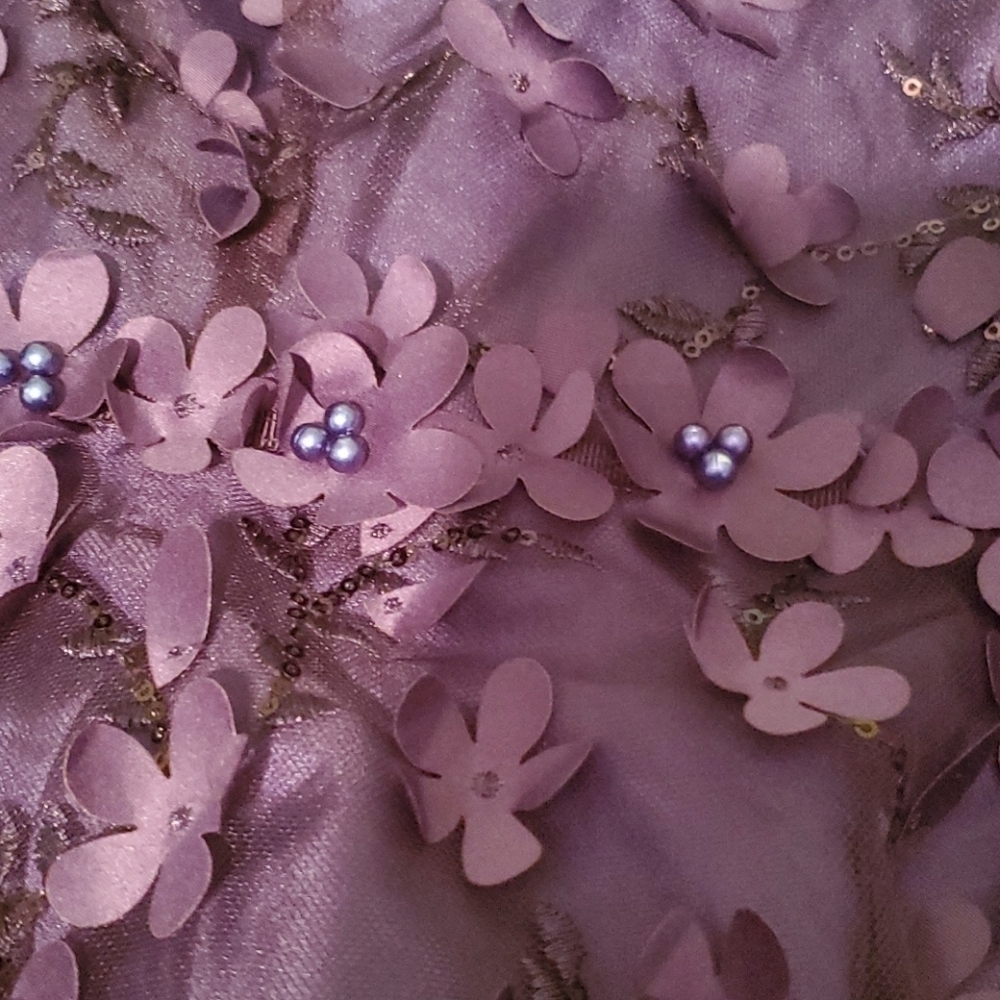 "Carmen Marc Valvo sheer with daisy Formal Navy 8 - Picture 6 of 6